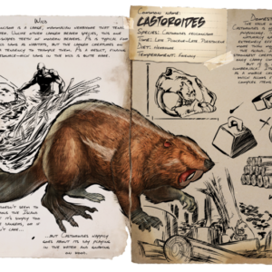 Castoroides (Beaver)